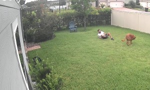 Blindfolded Dog Brings Down Owner