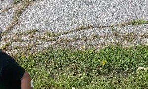 Officer Lets Kids See Inside His Police Car