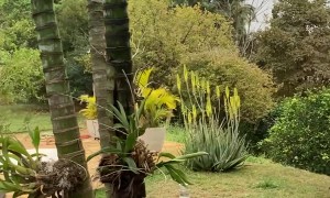 Airplane Crash In Vinhedo, Sao Paulo, Brazil