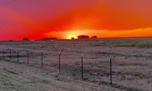 A Beautiful Texas Sunset