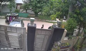 E-Rickshaw Collides With Parked Vehicle