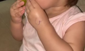 Dad's Yell Startles Daughter