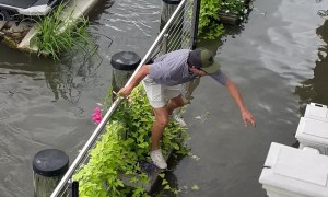 Hurricane Debby Turns Marina Into an Obstacle Course