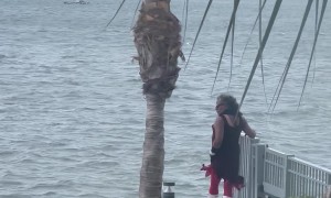 Miami Queen Vogues by the Sea