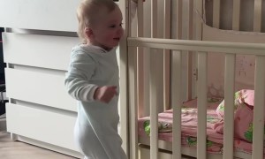Toddler Climbs Out of Her Crib