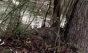 Hurricane Debby Floods Graveyard