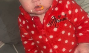 Baby's First Time Trying Bell Pepper Dip