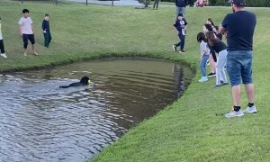Dog Plays Keep-Away at the Park