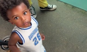 Beluga Whale Opens Mouth At Boy