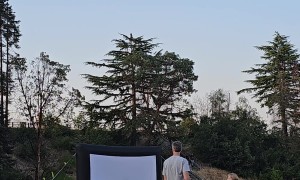 Seattle Kid Climbs to the Top of a Tall Tree
