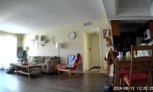 Earthquake Spooks Cat