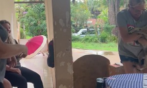 Spicy Pug Tries To Puncture