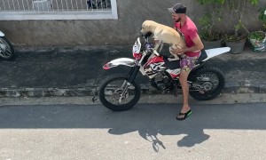 Dog Takes a Ride on Owner's Motorcycle