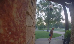 Runaway Dog Leads to Temper Tantrum