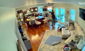 Case of the Missing Diaper