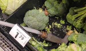 Protein Boosted Broccoli For Sale
