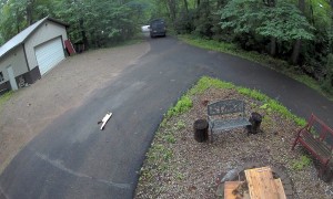 Amazon Driver Appears to Damage Tree