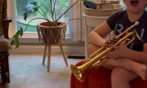 Cat Plots Trumpet's Demise