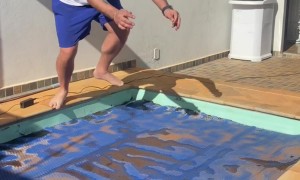 Man Fails to Clear Pool and Accepts His Fate