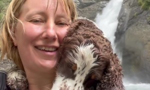 Cuddly Spaniel Is Perfect Selfie Partner