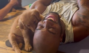 Puppy Loves Yoga Practitioner's Coconut Beard Oil