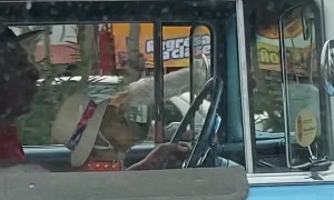 Dog Wears a Sun Hat While Riding in a Classic Car