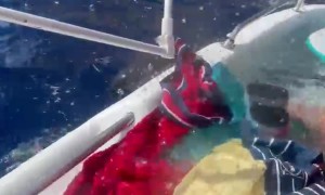 Sinking A Ship With Your Friends