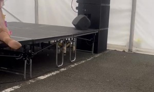 Drag Queen's Shoe Goes Flying