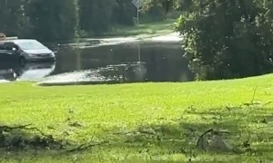 Questionable Florida Activities