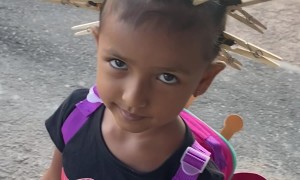 Clothespins Make Crazy Hairdo