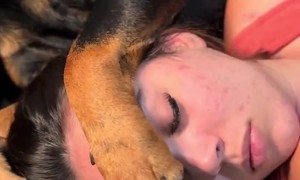 Dogs Snoozing on the Couch