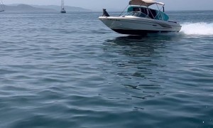 Dog Rides on Speedboat