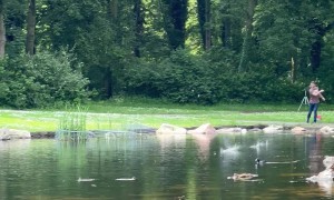 Expert Level Rock Skipping