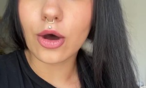 Bunny Crawls Into Owners Wig