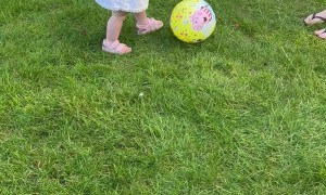 Toddler Takes Soccer Ball to the Face
