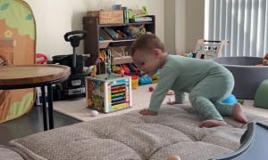 Toddler Tumbles Off Couch