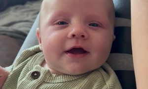 Head Massager Tickles Happy Baby
