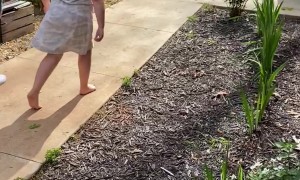 Georgia Family Surprised With Puppy