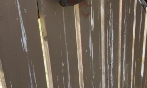 Crowbar Used To Free Crow From Fence