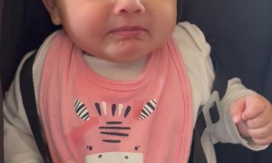 Her First Taste of Solid Food