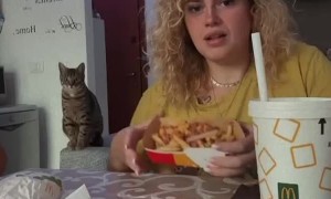 Surprise McMarriage Proposal