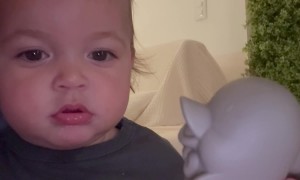 Baby Imitates Dolphin's Beak