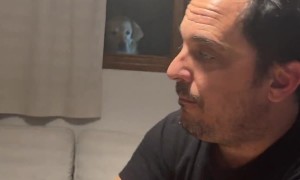 Dog Watches Dinner Party Through Window