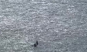 Paddleboard Rescue In Croatia