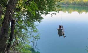 Rope Swing Fails Sends Wrong Person Into Lake