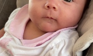 Baby Gives the Finger