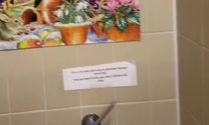 Whimsical Bathroom Decor