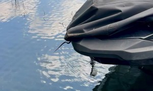 It's The Snakes' Jet Ski Now