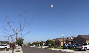 Umbrella with a Mind of its Own