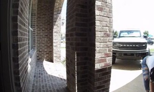 Girl Drops Dog After Bee Flies at Her Face